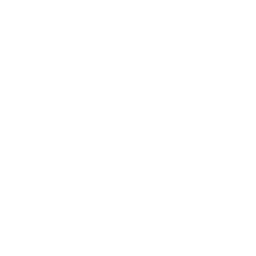 Airplane